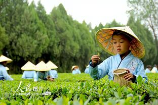 Lưu Việt: Đội tuyển Việt Nam chứng minh con đường kiên trì của họ rất giống với Nhật Bản, kiên trì bền bỉ tất có thu hoạch